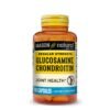 GLUCOSAMINE CHONDROITIN REGULAR STRENGTH CAPSULES